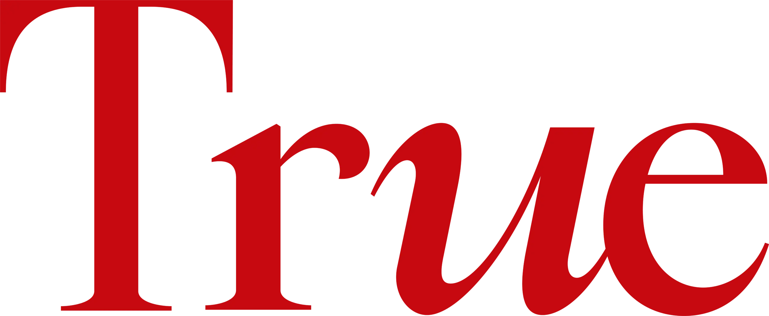 True Models Istanbul logo